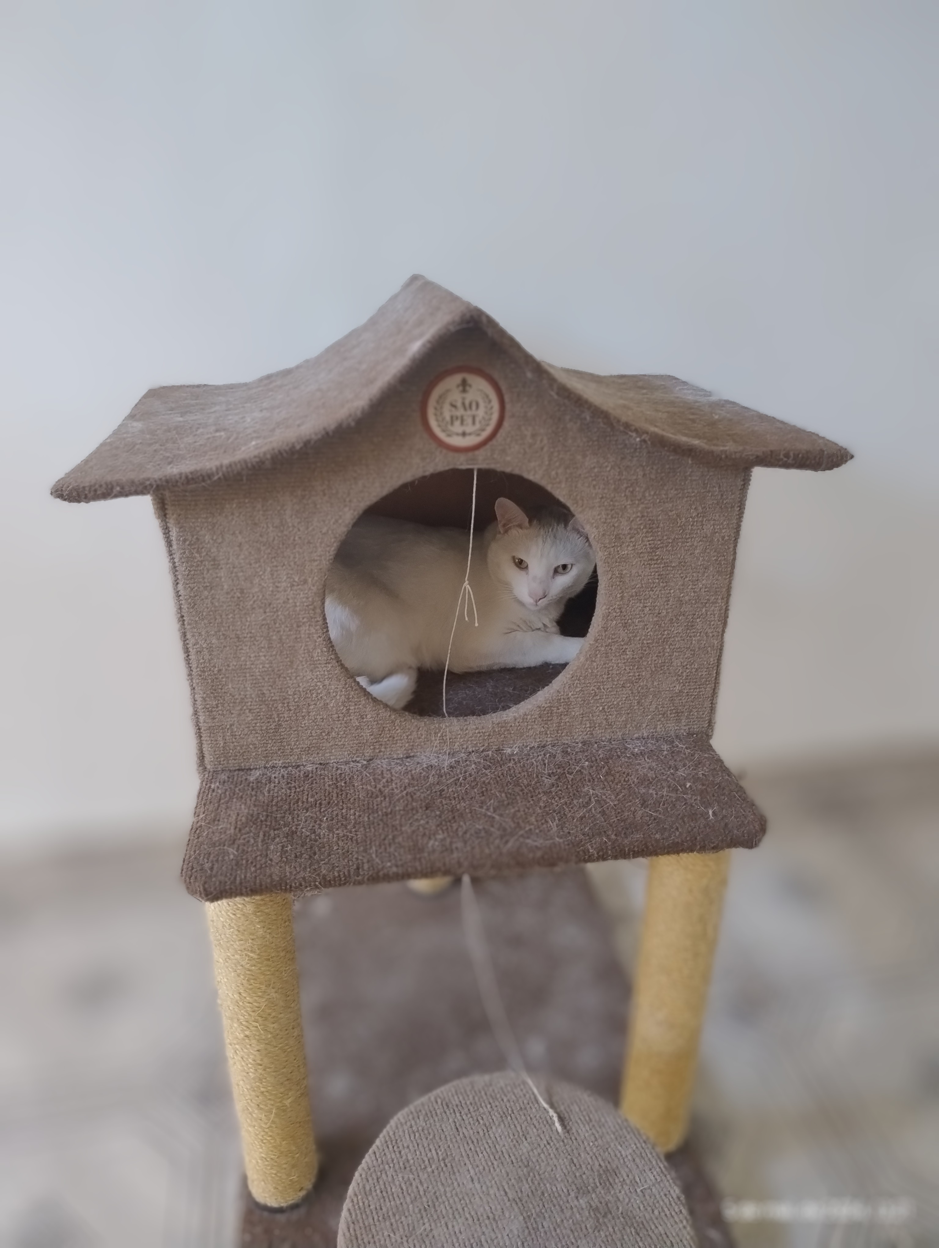 A magnificência de Scape